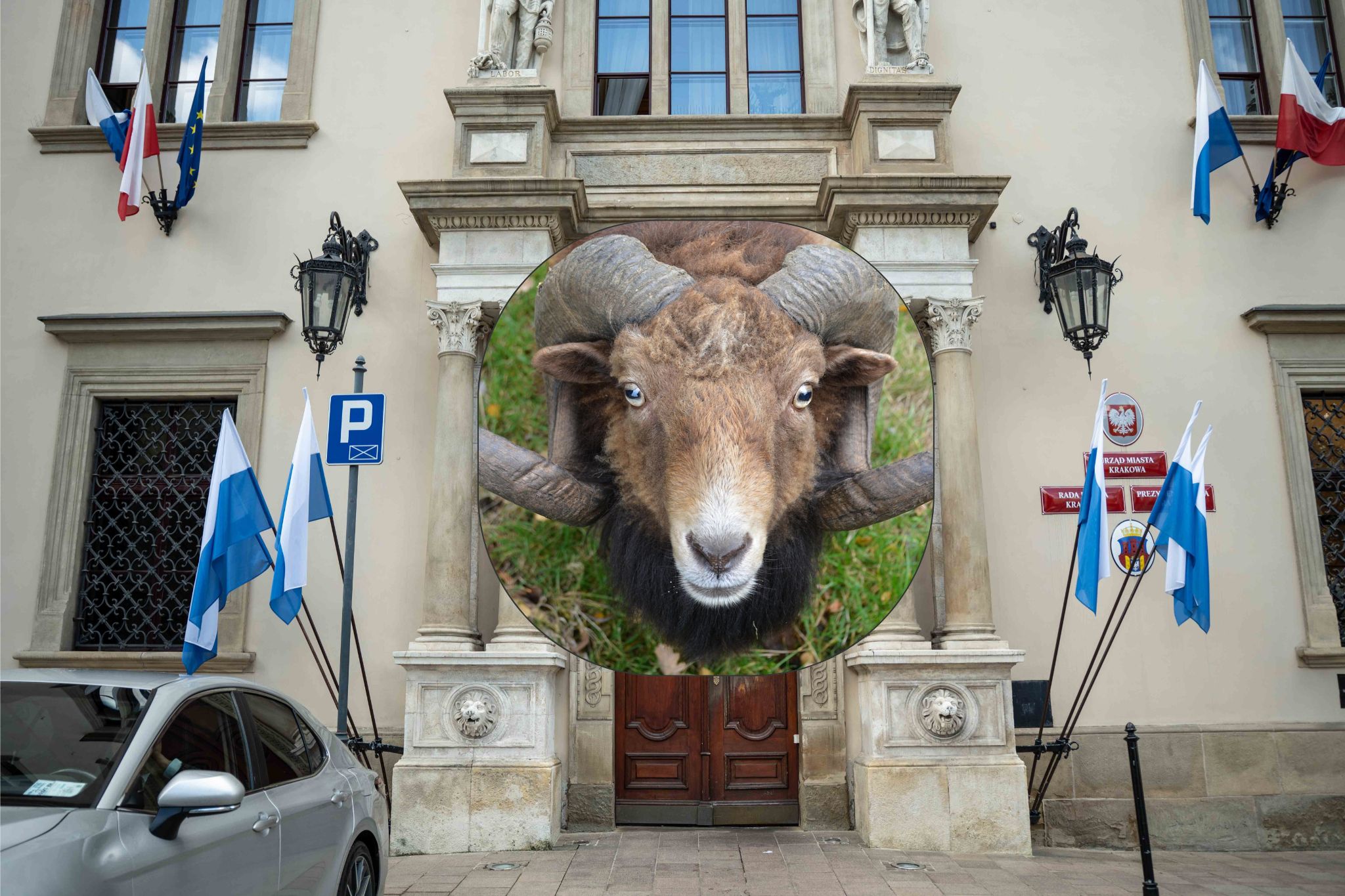 TYLKO U NAS! Ujawniamy stenogram ze sztabu Gibały! "Operacja Baran"