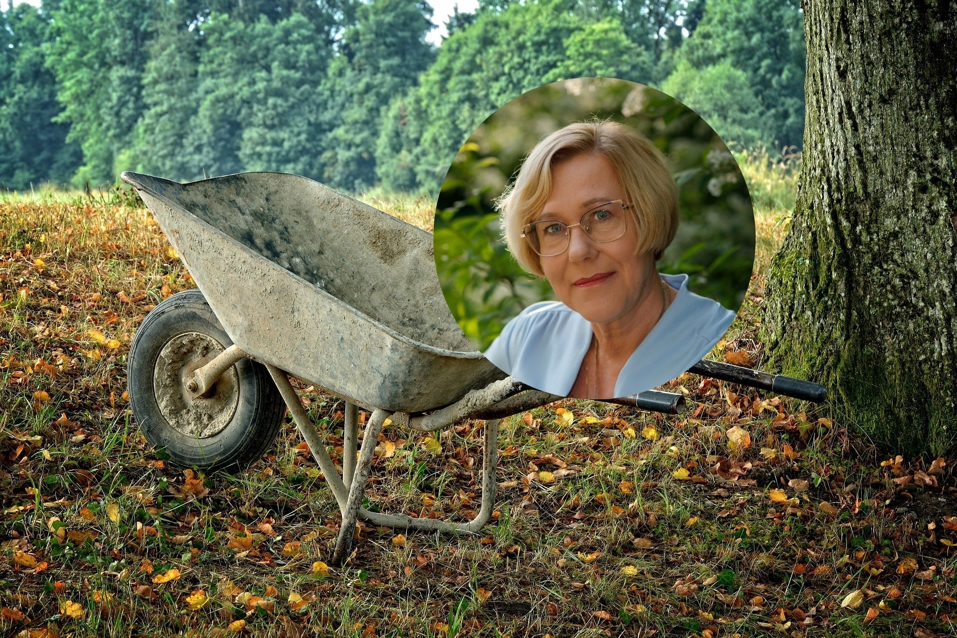 Była kurator oświaty z PiS chce wywieźć na taczkach prezydenta Krakowa