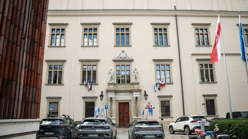 Zielony absurd przed magistratem. Zasadzą drzewa, wykopią zdrowy rozsądek