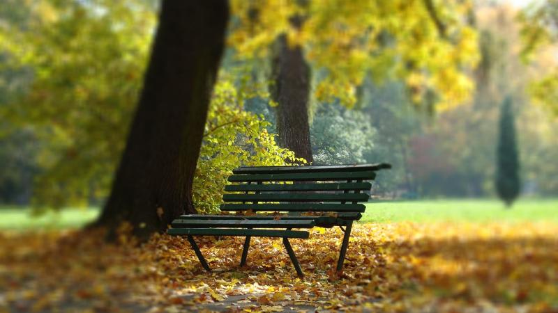 Konsultacje o konsultacjach, czyli jak Kraków gada sam ze sobą