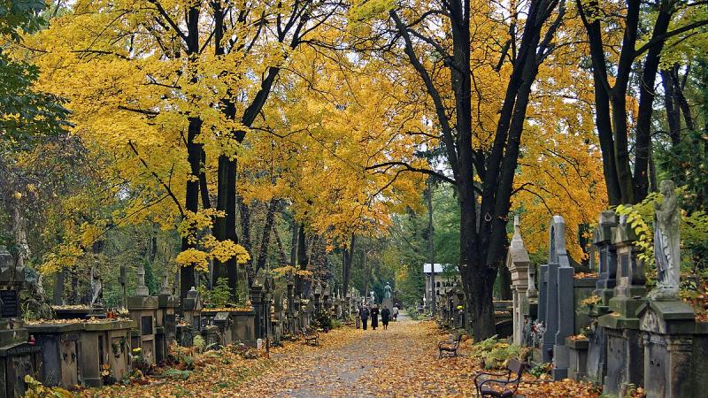 Kampania na grobach, gołębiach i pierogach. Staruszki dają więcej lajków niż program wyborczy