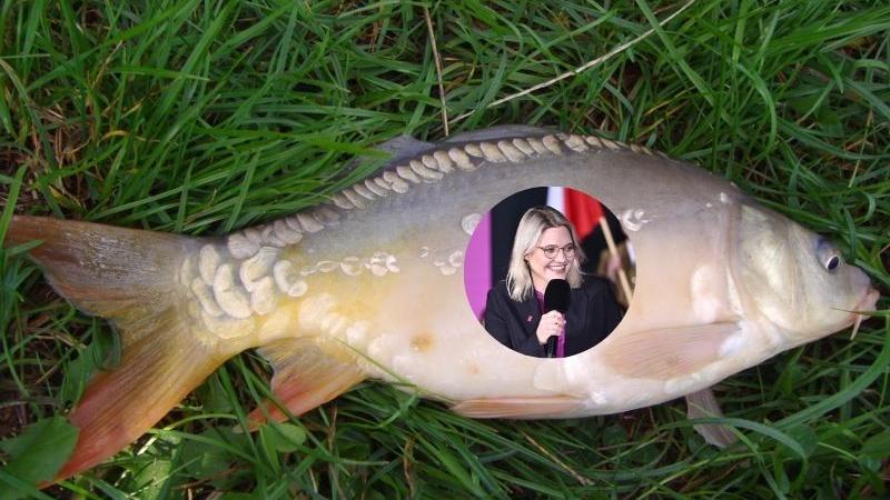 Radna walczy z karpiem, ale... pomyliła adres. 