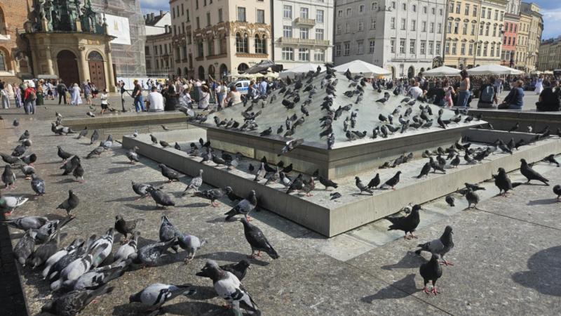 Najgorsi lokatorzy Krakowa - jest ich coraz więcej i uprzykrzają życie mieszkańcom!
