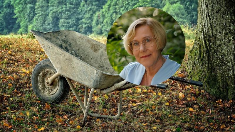 Była kurator oświaty z PiS chce wywieźć na taczkach prezydenta Krakowa