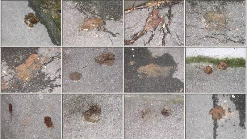 Brunatna odwilż. Sezon na wstyd właśnie się zaczął