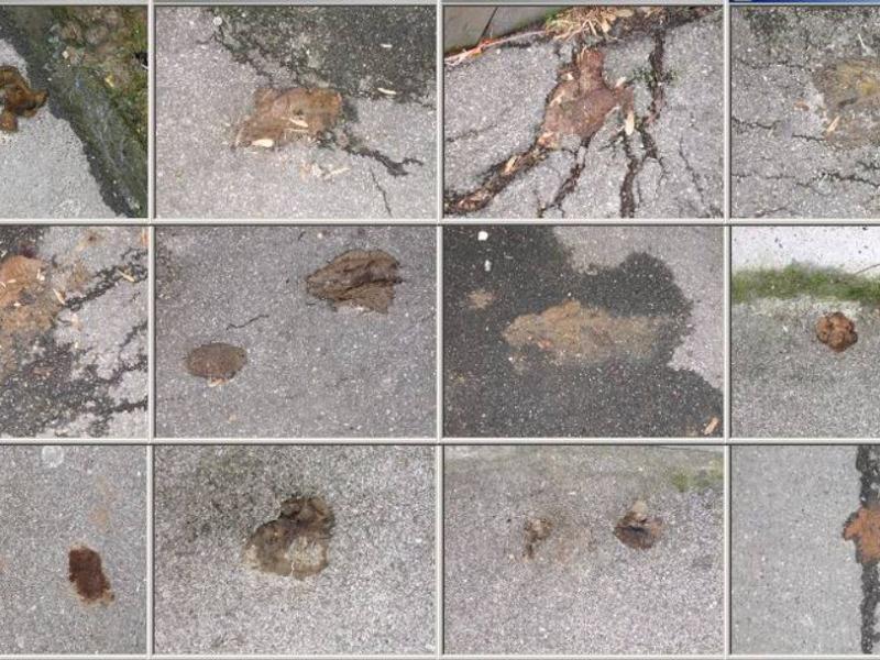 Brunatna odwilż. Sezon na wstyd właśnie się zaczął